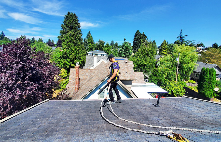 a dirty mossy roof before and after soft wash roof cleaning